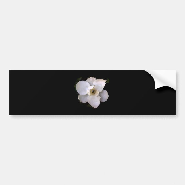Magnolia Bumper Sticker (Front)