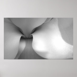 Magnolia Canvas Print