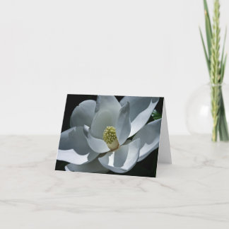 Magnolia - Card