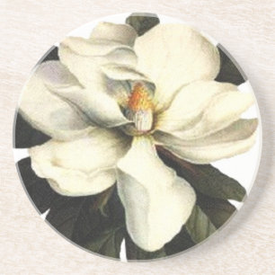 Magnolia Coaster