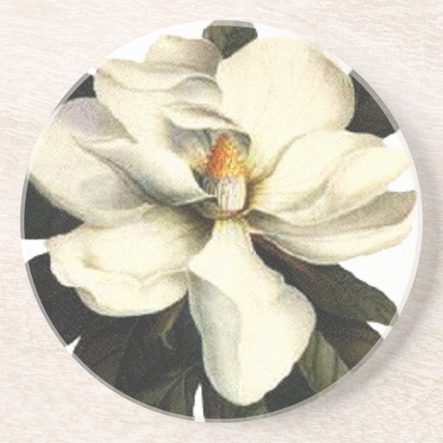 Magnolia Coaster (Front)