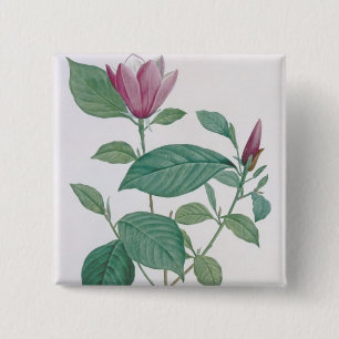 Magnolia discolour, engraved by Legrand (colour 15 Cm Square Badge