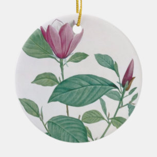 Magnolia discolour, engraved by Legrand (colour Ceramic Ornament