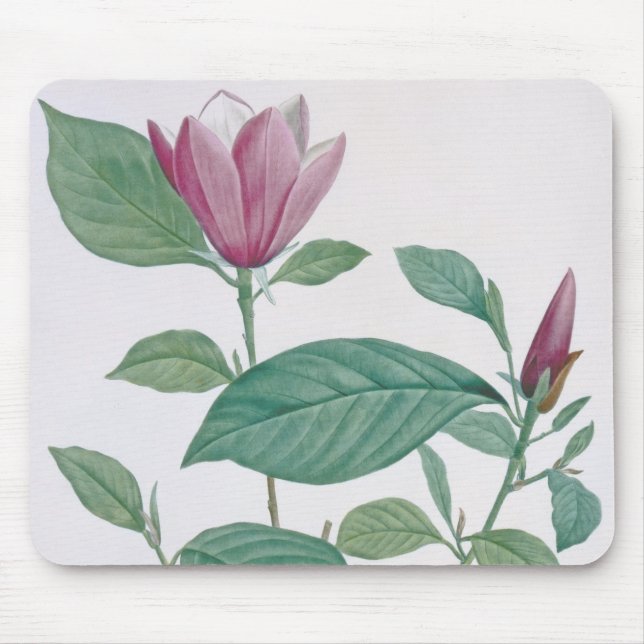 Magnolia discolour, engraved by Legrand (colour Mouse Pad (Front)
