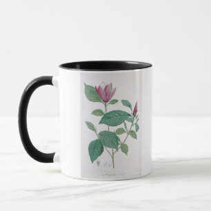 Magnolia discolour, engraved by Legrand (colour Mug