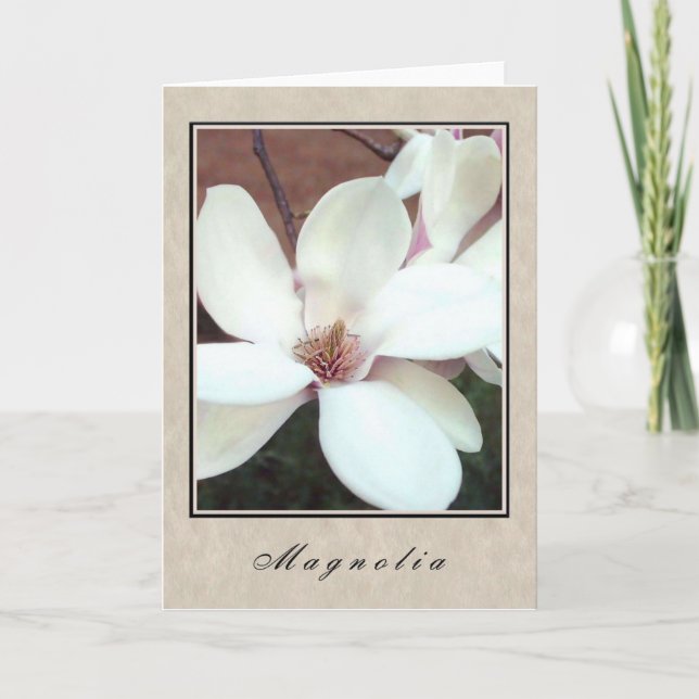 Magnolia - Floral Series Card (Front)