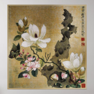 Magnolia Flower and Butterfly Ming Dynasty Poster