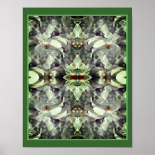 Magnolia Flower Blossoms Abstract  Poster