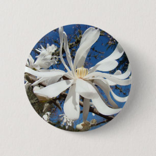 Magnolia Flower button White Magnolia Tree