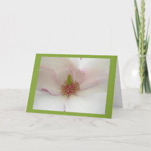 Magnolia Flower Card White Blossom Card
