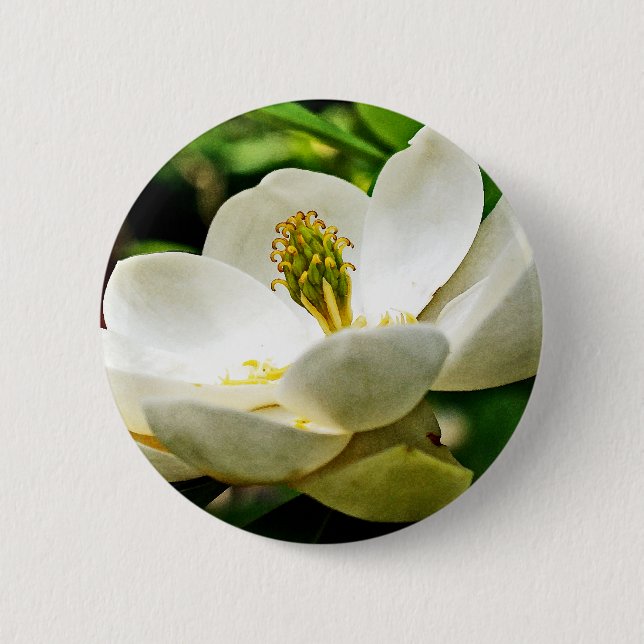 Magnolia Flower Close Up 6 Cm Round Badge (Front)