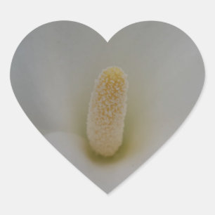 Magnolia Flower Heart Sticker