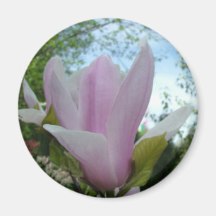 magnolia flower magnet