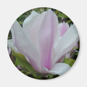 magnolia flower magnet