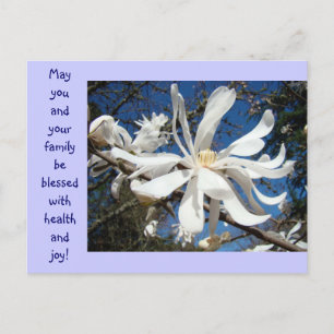 Magnolia Flower postcards Blue Sky Floral cards