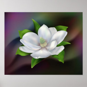 Magnolia Flower Poster