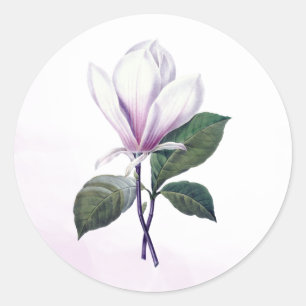Magnolia Flower Seal Stickers