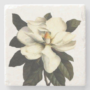 Magnolia Flower Square Stone Coaster