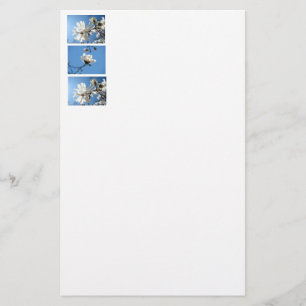Magnolia Flower Stationery Spring Florals