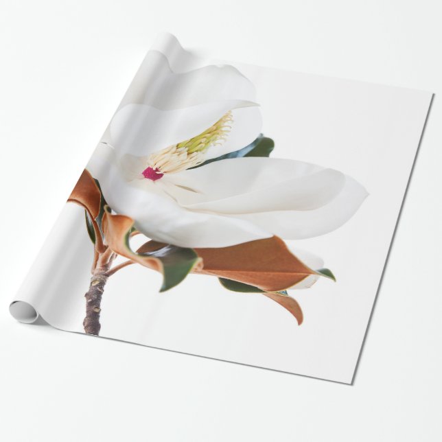 Magnolia Flower White Magnolias Floral Blossom Wrapping Paper (Unrolled)