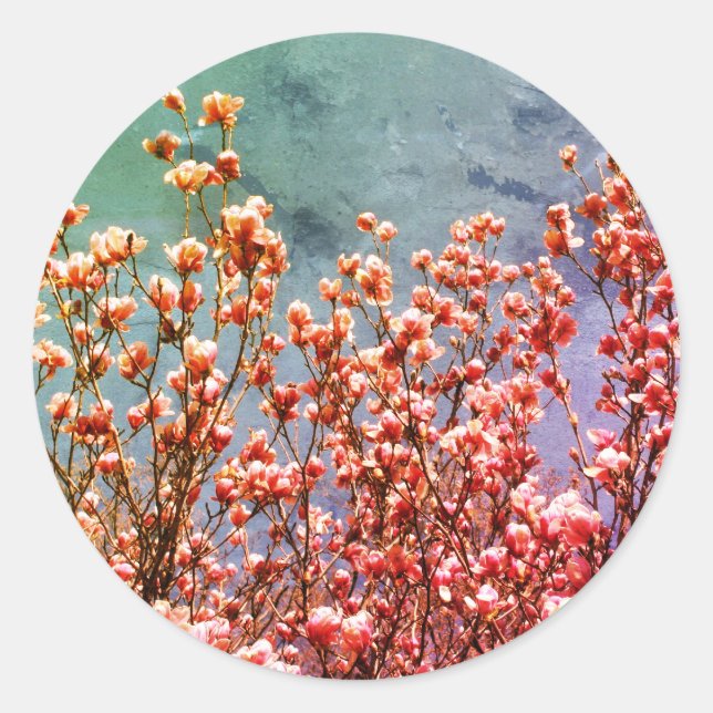 Magnolia Flowers Blue Sky Nature Art Classic Round Sticker (Front)