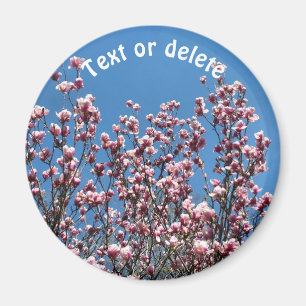 Magnolia Flowers Blue Sky Personalised Magnet