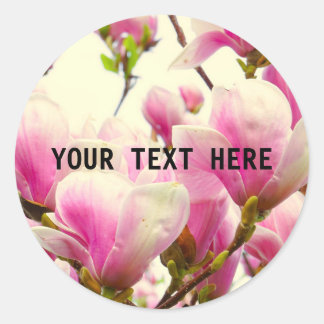 Magnolia Flowers Floral Botanical Blossom Chic Classic Round Sticker