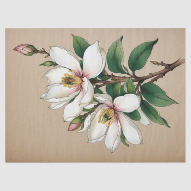 Magnolia Flowers Tissue Paper (Front)