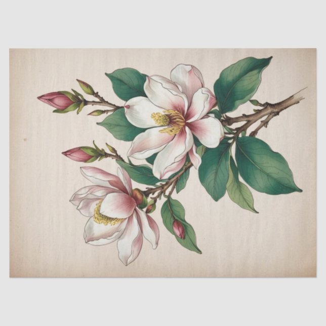 Magnolia Flowers Tissue Paper (Front)