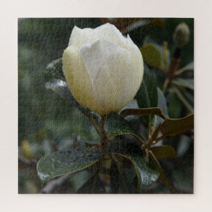 Magnolia Grandiflora Jigsaw Puzzle