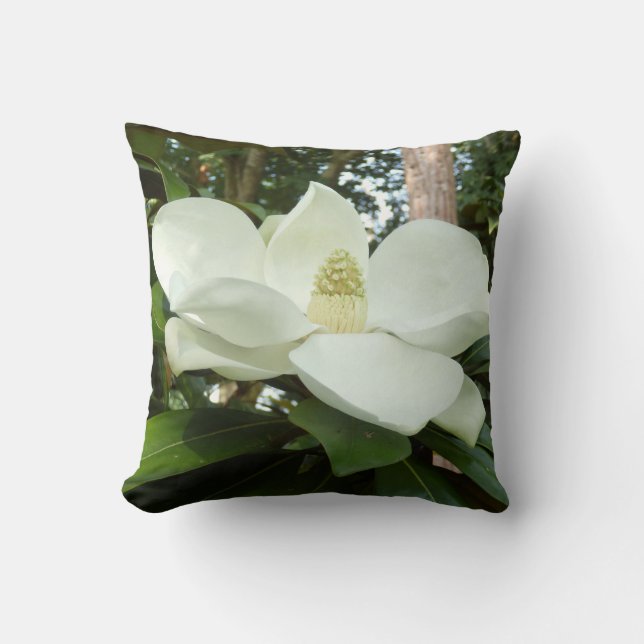 Magnolia Grandiflora Throw Cushion (Front)