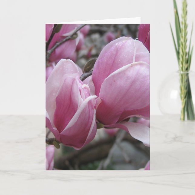 Magnolia Greeting Card (Front)