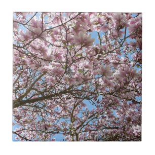 Magnolia in April Ceramic Tile