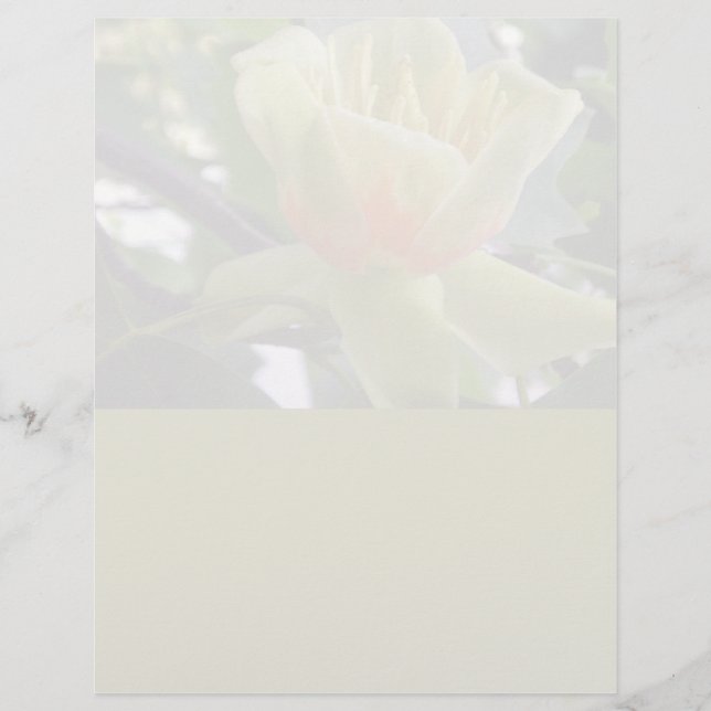Magnolia letterhead stationery recycled paper (Front)