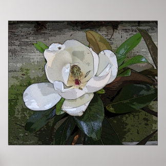 Magnolia Magic Print -24x20 -other sizes available