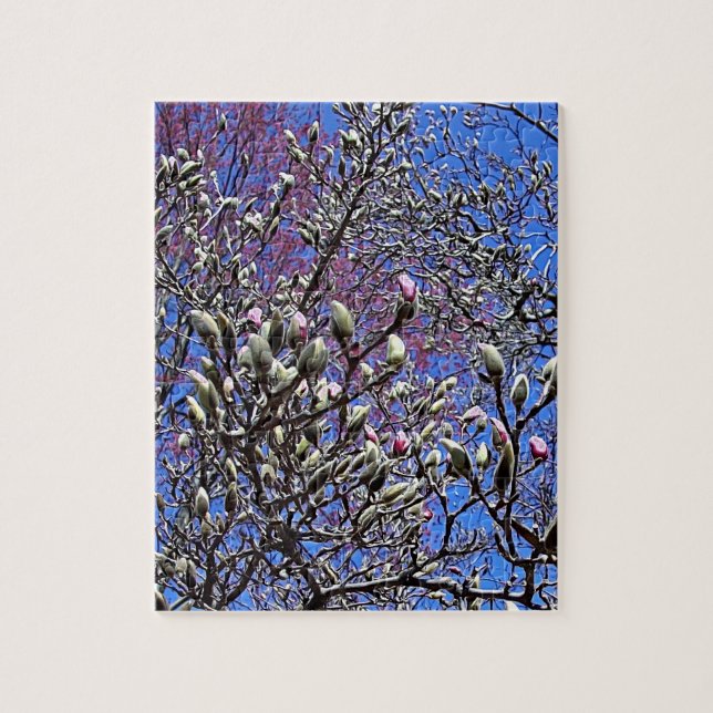 Magnolia, Mass of Buds Jigsaw Puzzle (Vertical)