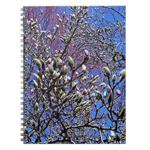Magnolia, Mass of Buds Notebook