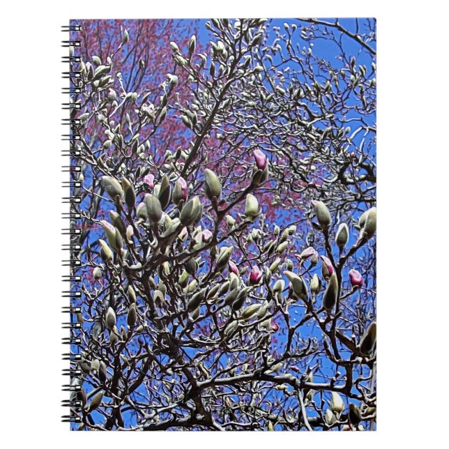Magnolia, Mass of Buds Notebook (Front)