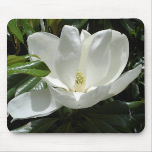 magnolia mouse pad