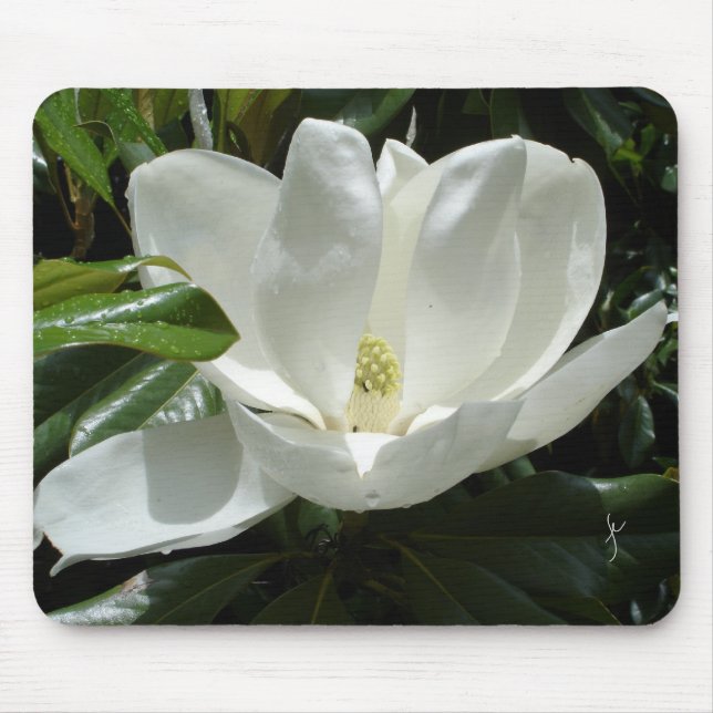 magnolia mouse pad (Front)