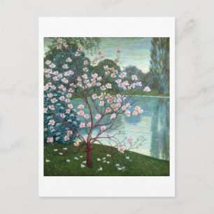 Magnolia (oil on canvas) postcard