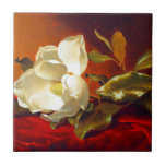 Magnolia on Red Velvet Martin Johnson Heade Ceramic Tile<br><div class="desc">Tile featuring Martin Johnson Heade’s oil painting A Magnolia on Red Velvet (1885-95). A beautiful white magnolia rests upon red velvet. A marvellous gift for floral art lovers and American art enthusiasts!</div>