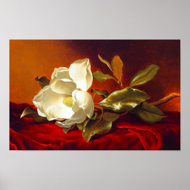 Magnolia on Red Velvet Martin Johnson Heade Poster (Front)