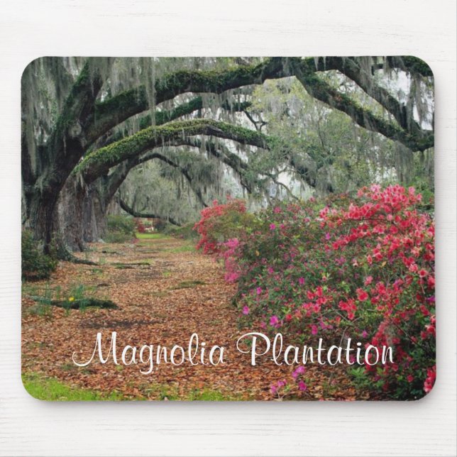 Magnolia Plantation / Charleston SC Mousepad (Front)