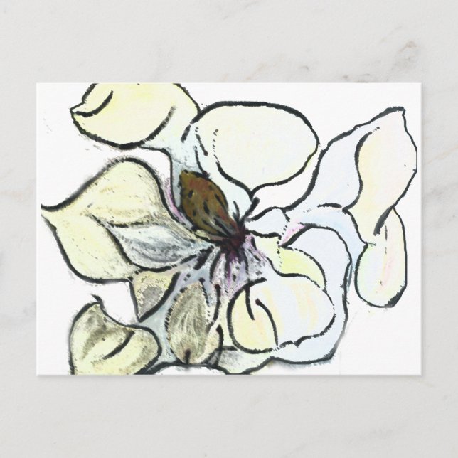Magnolia Postcard (Front)