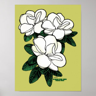 Magnolia poster