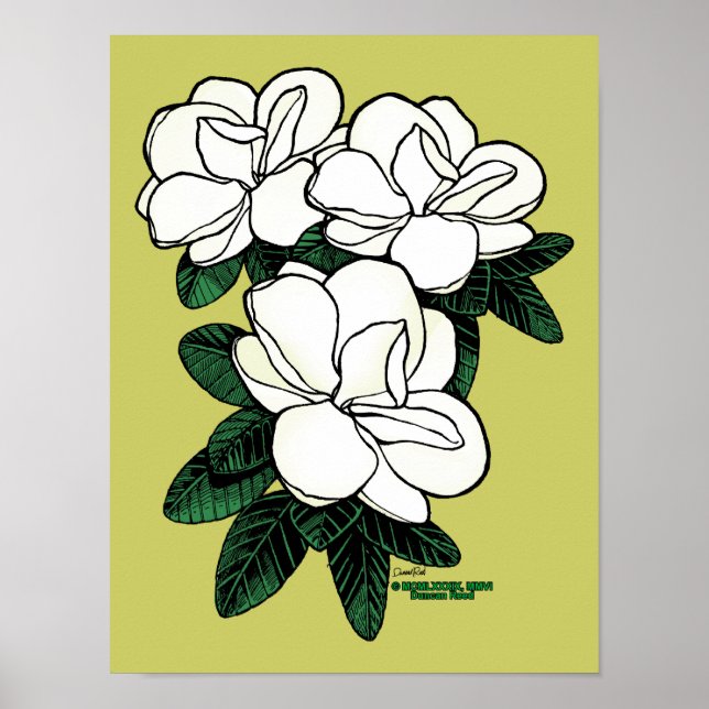 Magnolia poster (Front)