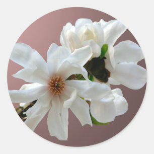 Magnolia Stellata Envelope Seal Sticker