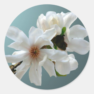Magnolia Stellata Envelope Seal Sticker