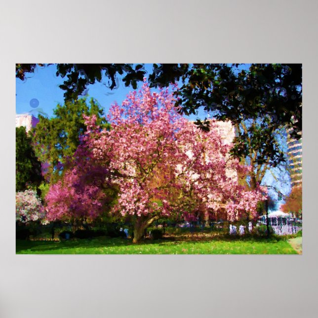 Magnolia Three Poster (Front)